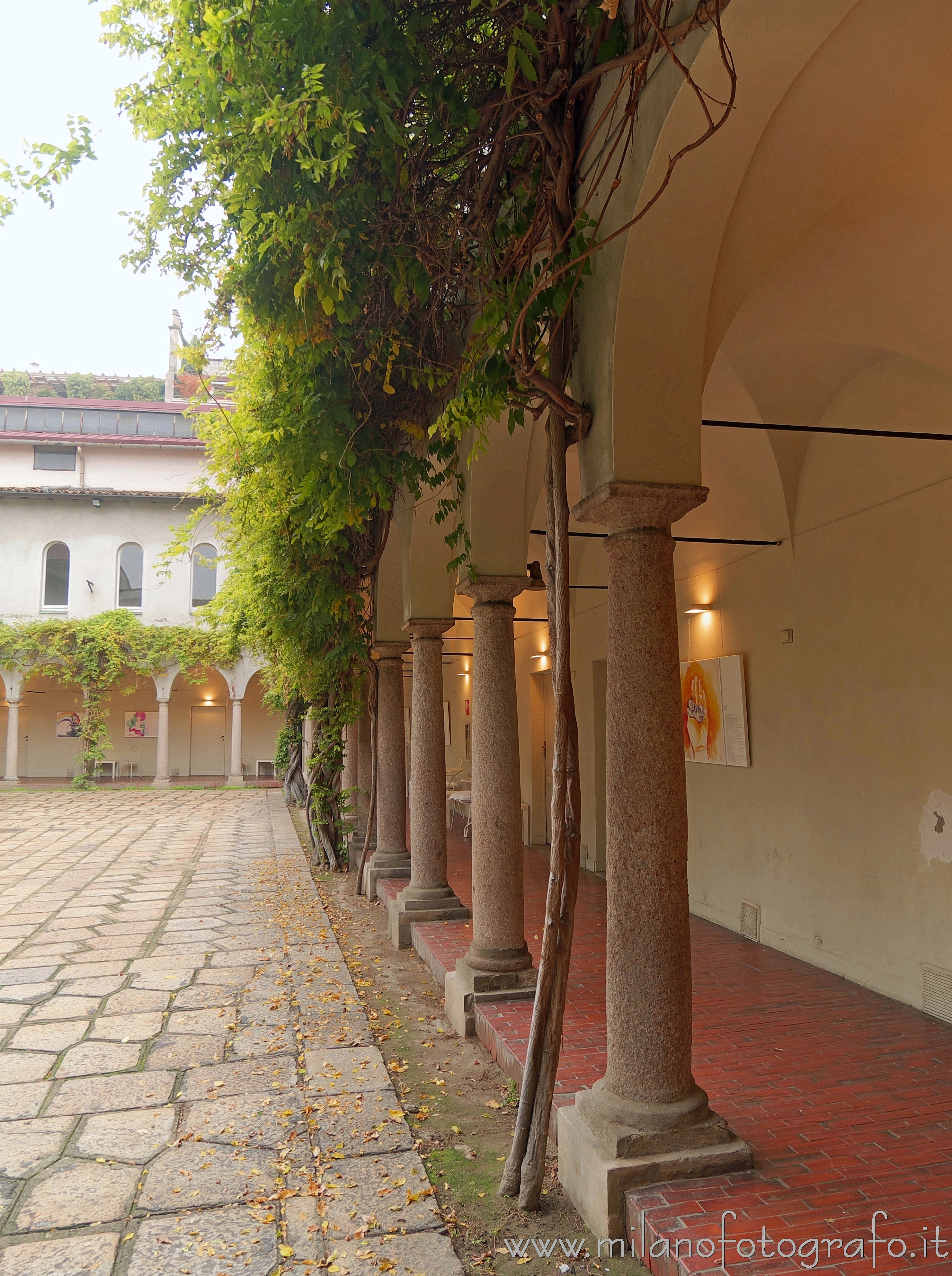 Milan (Italy) - Columns in one of the Cloisters of the Umanitaria